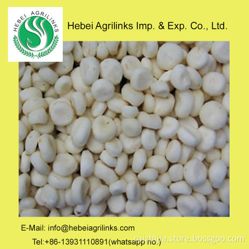 Frozen IQF Water Chestnut Kernel